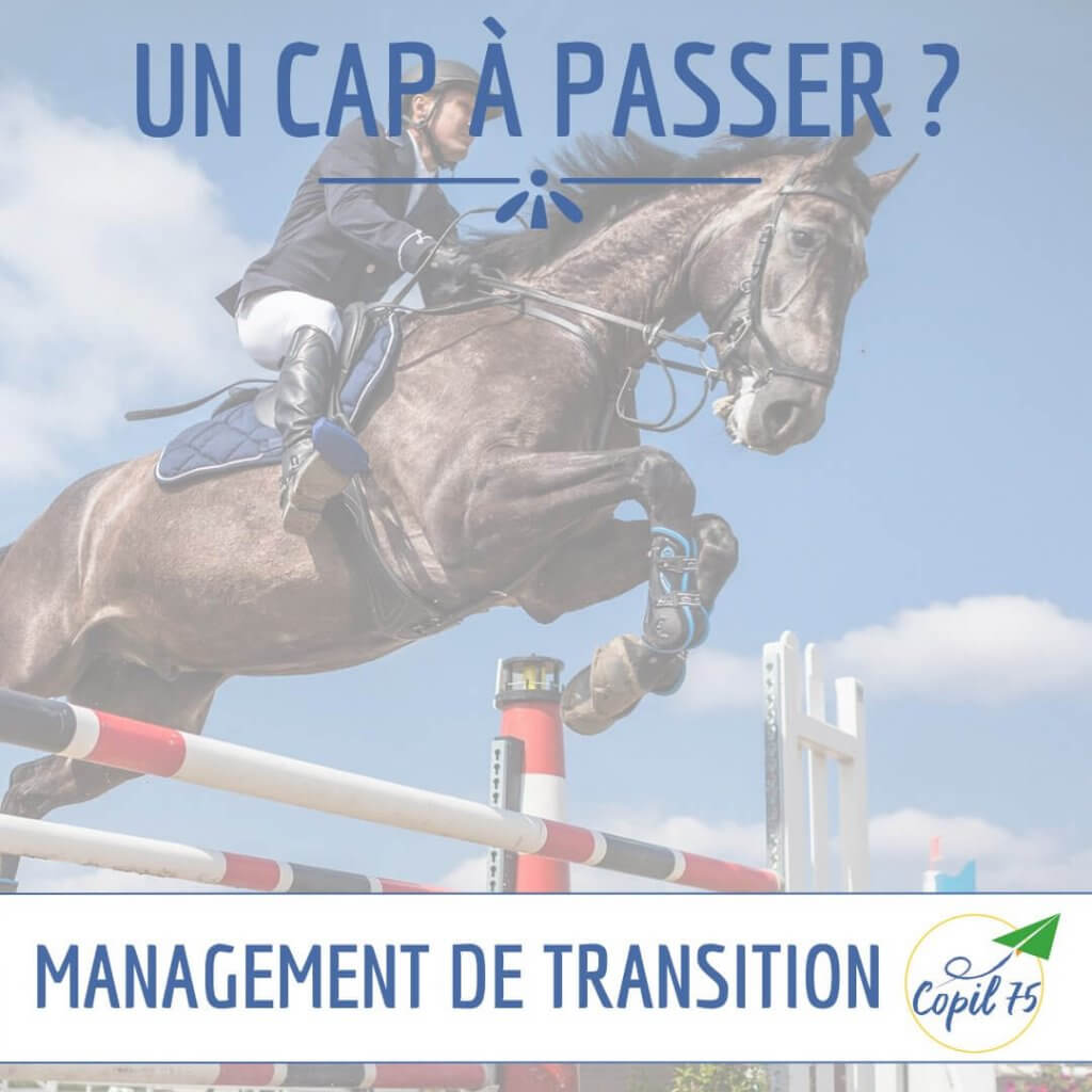 Management de transition, COPIL75, un cap à passer ?